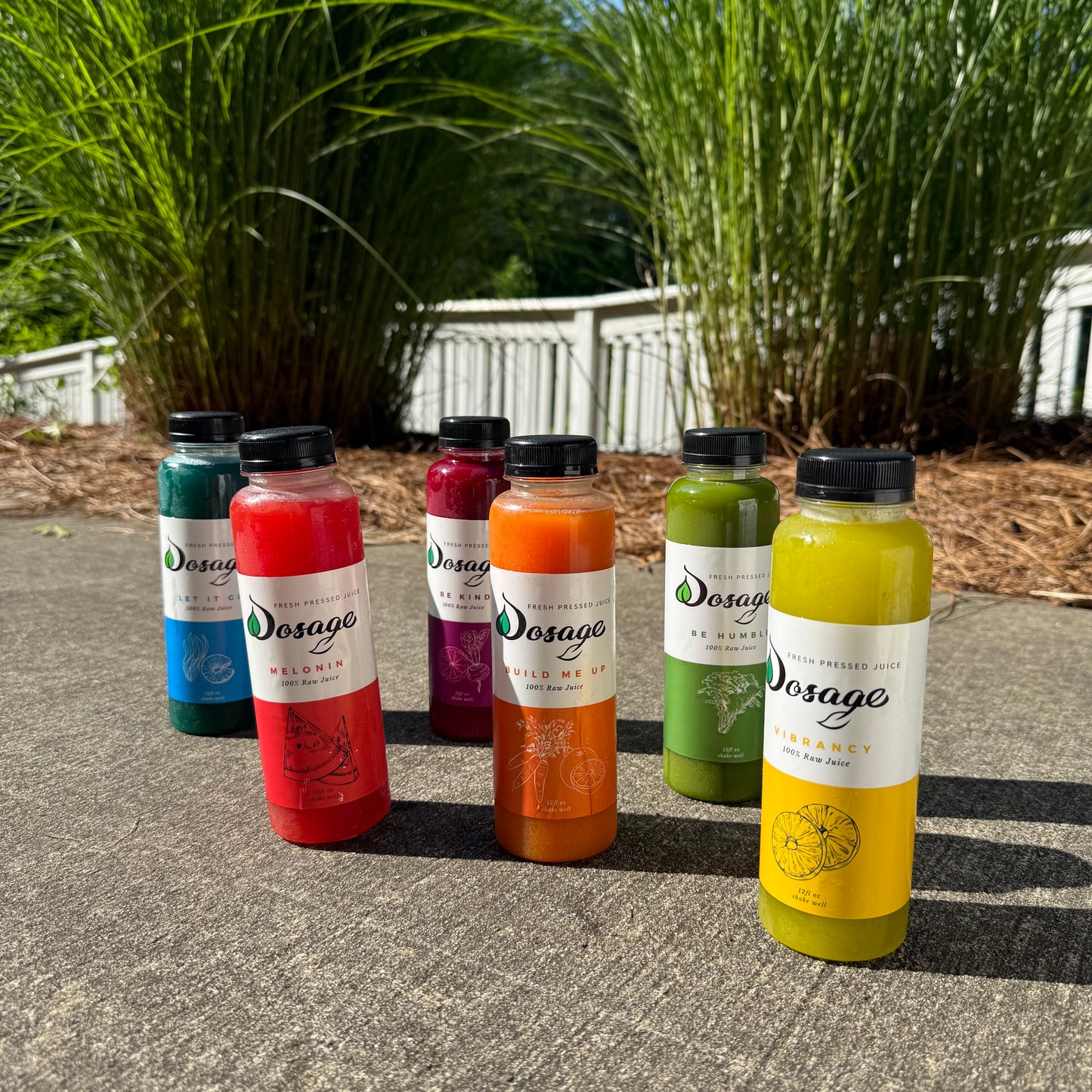 3-Day Cleanse: Detox, Revitalize & Energize